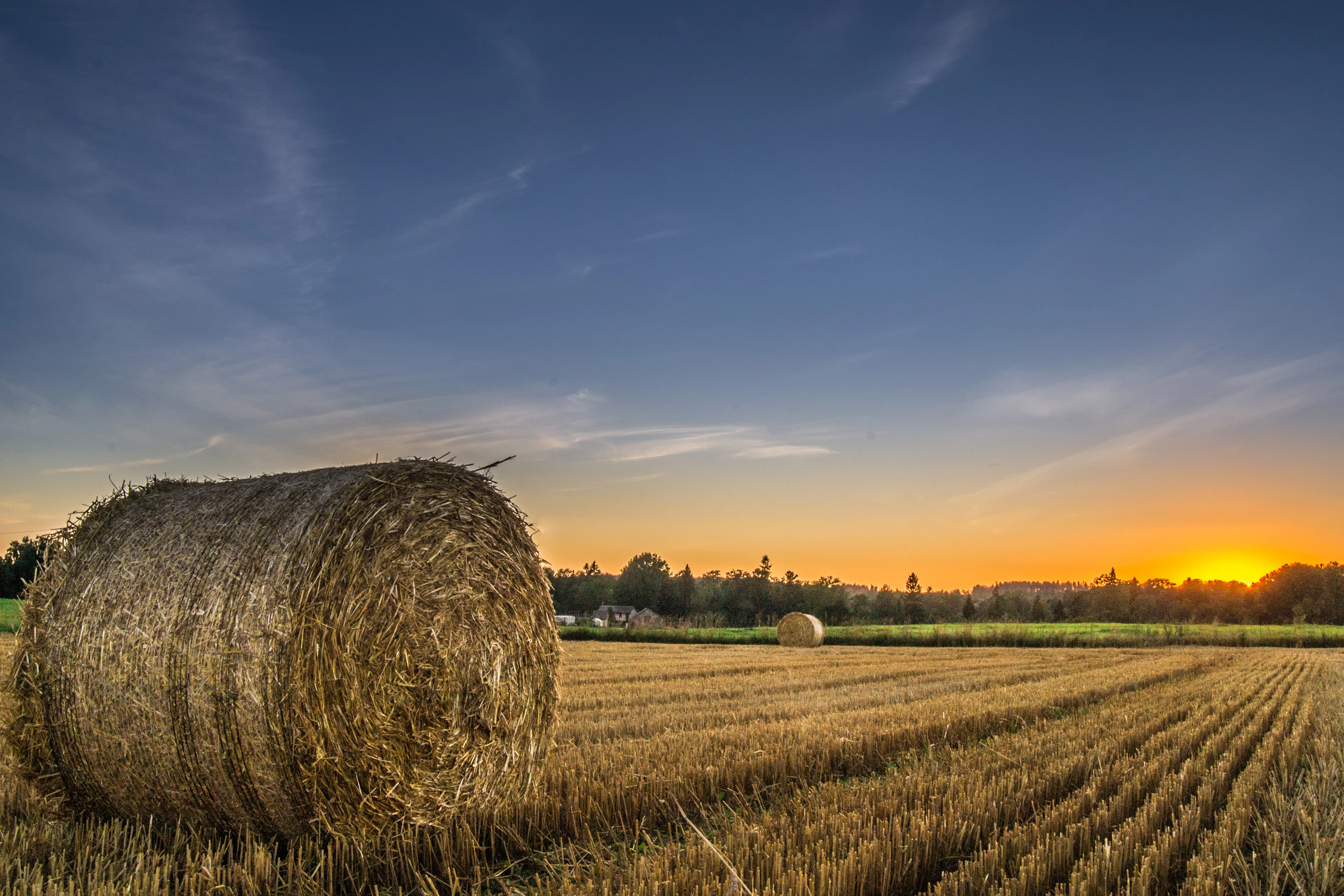 Your Story, Beautifully Told