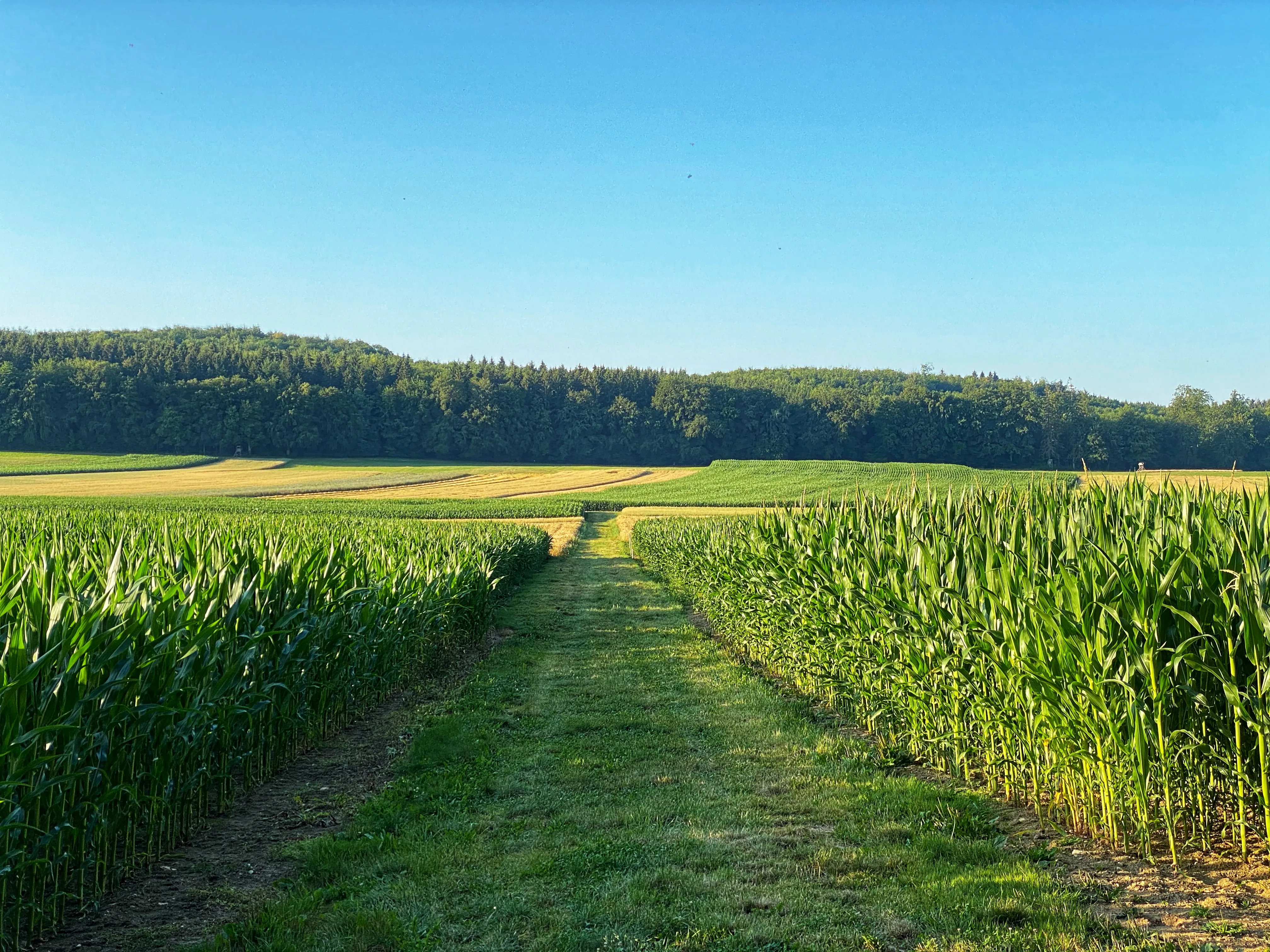 Stunning Photo Galleries