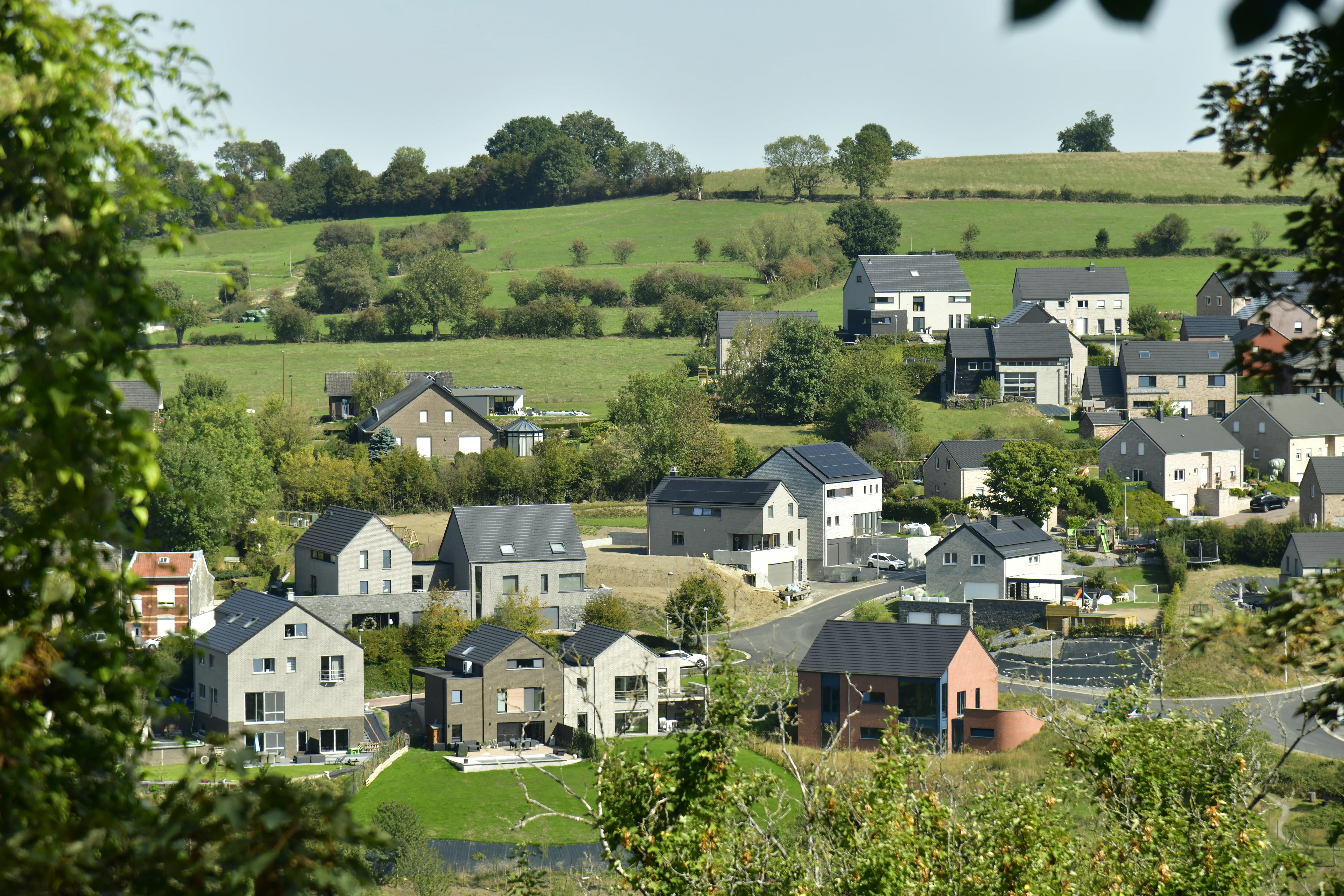 Local SEO That Works